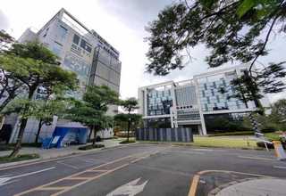 岳麓区网站建设企业